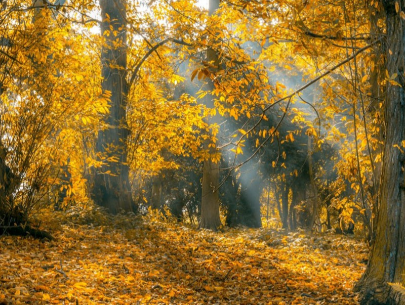 ЦАГ АГААР: Улаанбаатарт өдөртөө 4 хэм дулаан